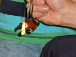 B B